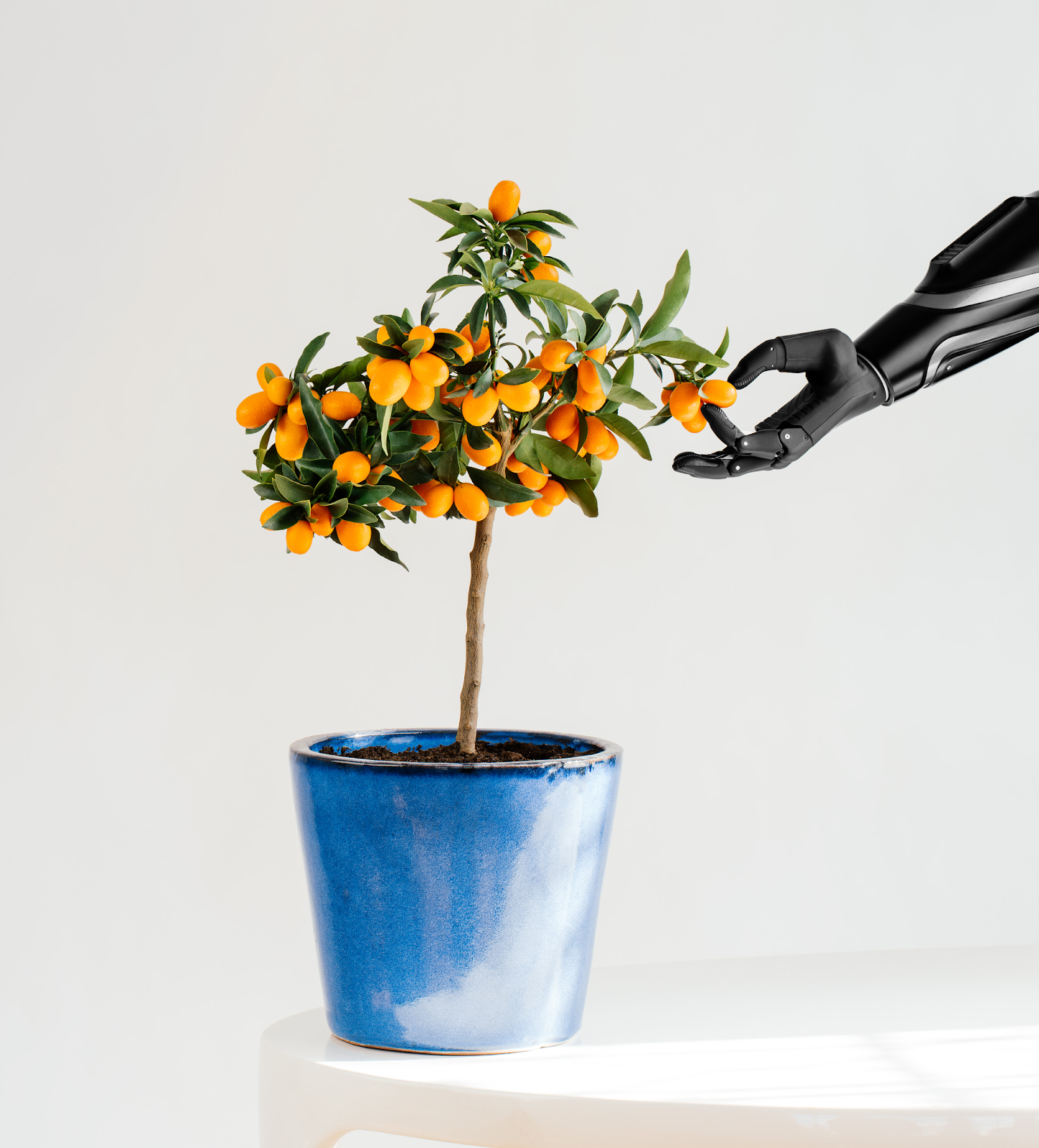 How to Manage Daily Activities and Household Tasks?